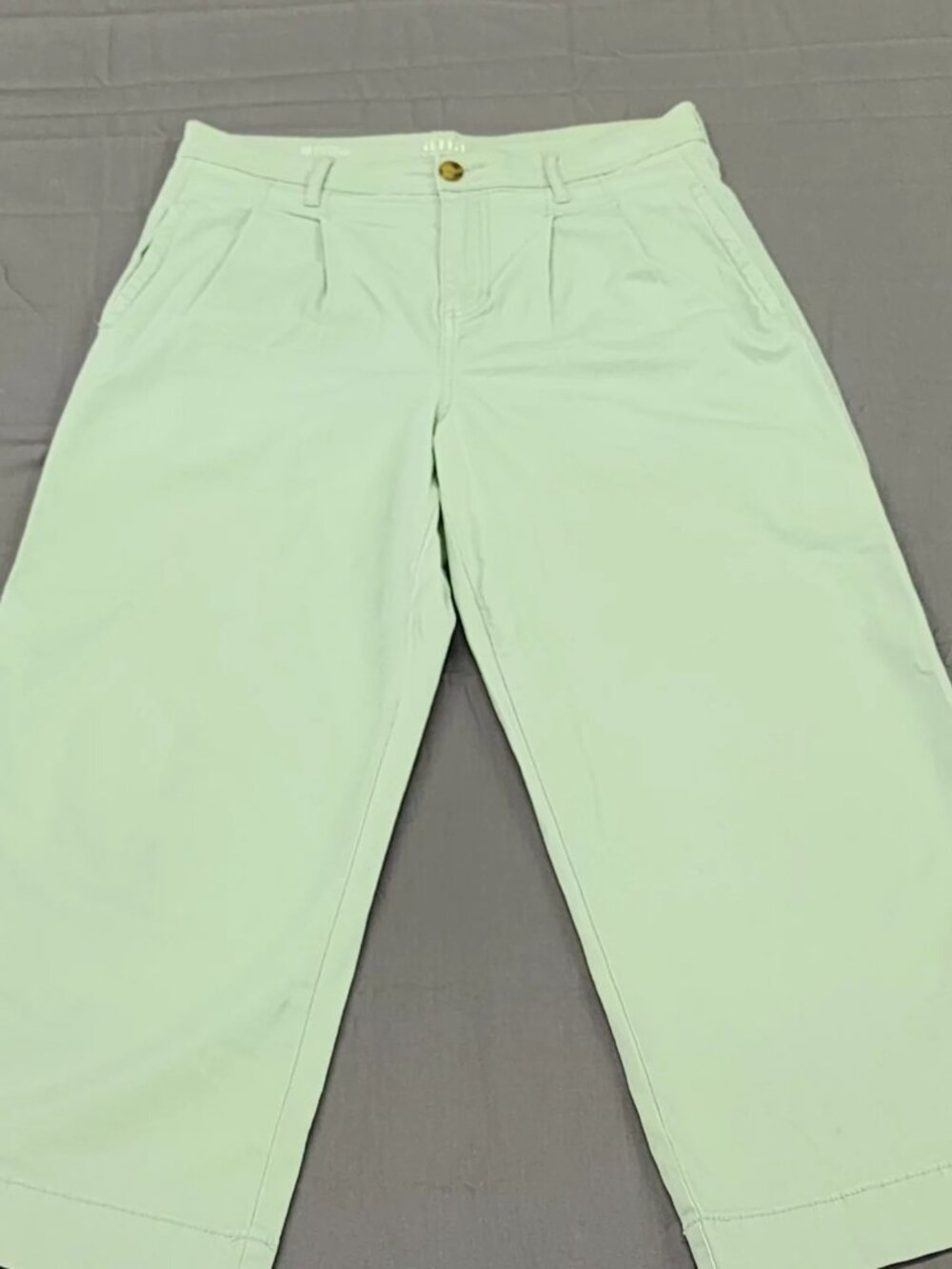 a.n.a Womens 10 Mint Green Wide Leg Cropped Pants High Rise Pleated Stretch